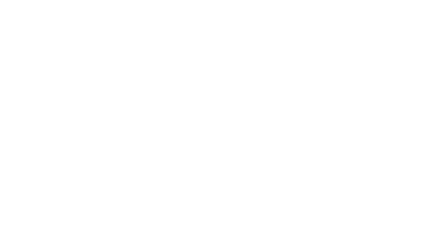 Conclusion Experience Logo