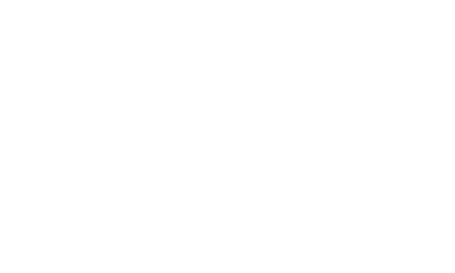 Wexo Logo