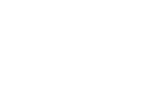 Redkiwi Logo