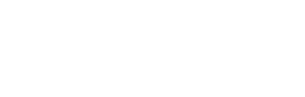 WEXO A/S Logo