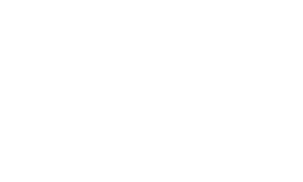 Valantic Logo