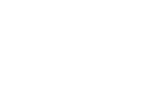 No Zebra Logo