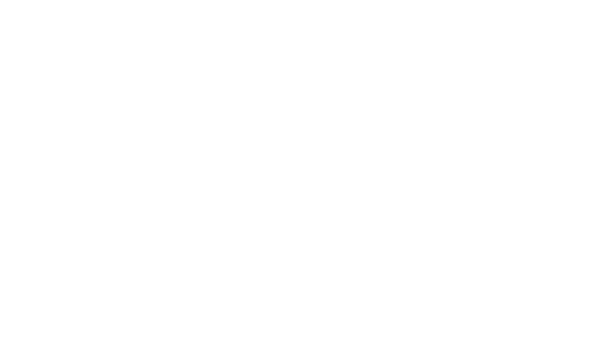 Segmento Logo