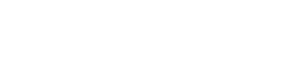 valantic Logo