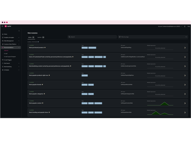 raptor_platform_website-recommendations_web-strategies