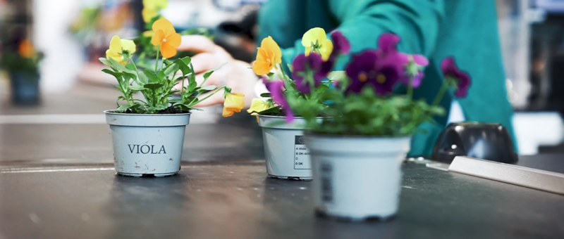 How Plantorama’s conversion rates grew by 40% with tailored Web Personalization